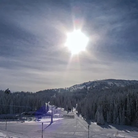 Gold Elegant & Kop Kopaonik