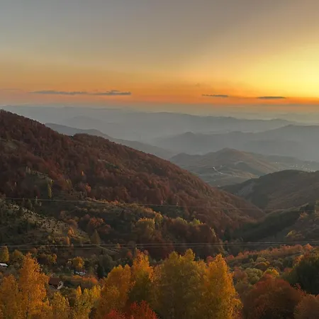 Gold Elegant & Kop Gasthuis Kopaonik