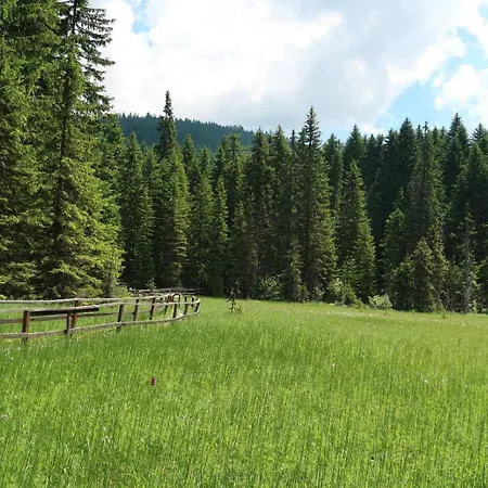 Gold Elegant & Kop Pensjonat