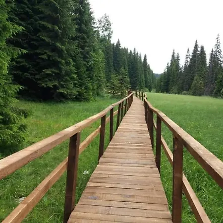 Gold Elegant & Kop Kopaonik