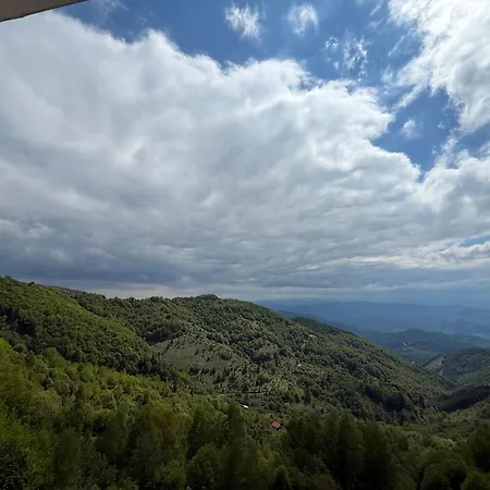 Gasthuis Gold Elegant & Kop