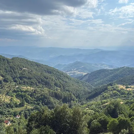 Gold Elegant & Kop Pensjonat 3*