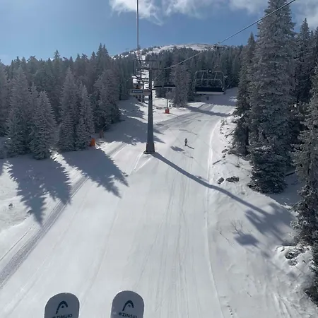 Gold Elegant & Kop 3*