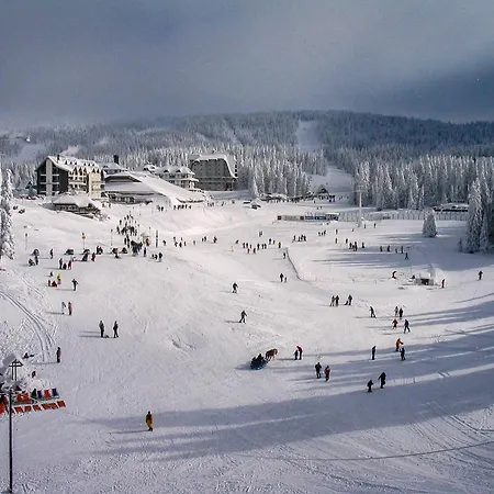 Gasthuis Gold Elegant & Kop Kopaonik